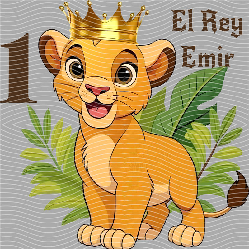 Disney-DS 505